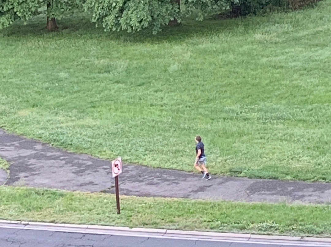 岩溪公园-华盛顿特区必去景点