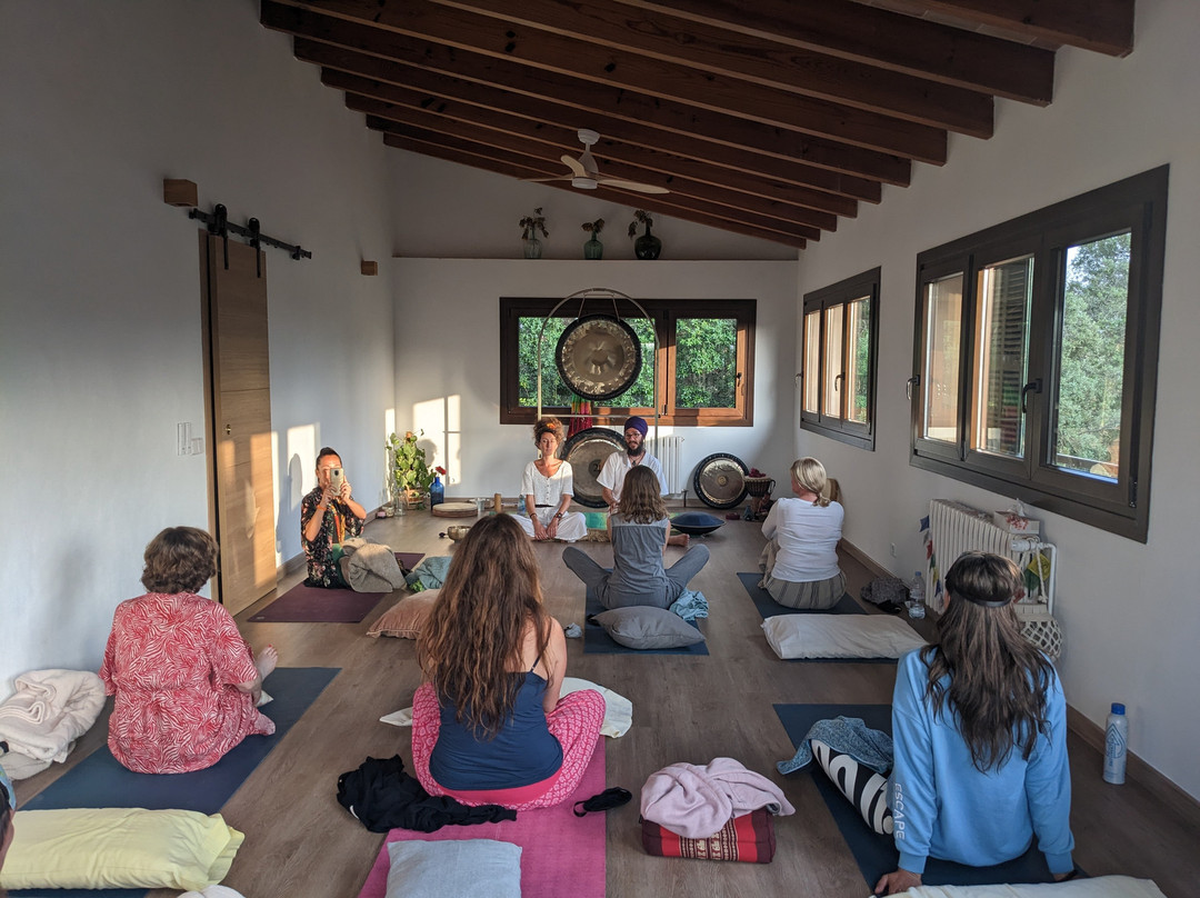 The Yoga Concept-克里斯托港必去景点
