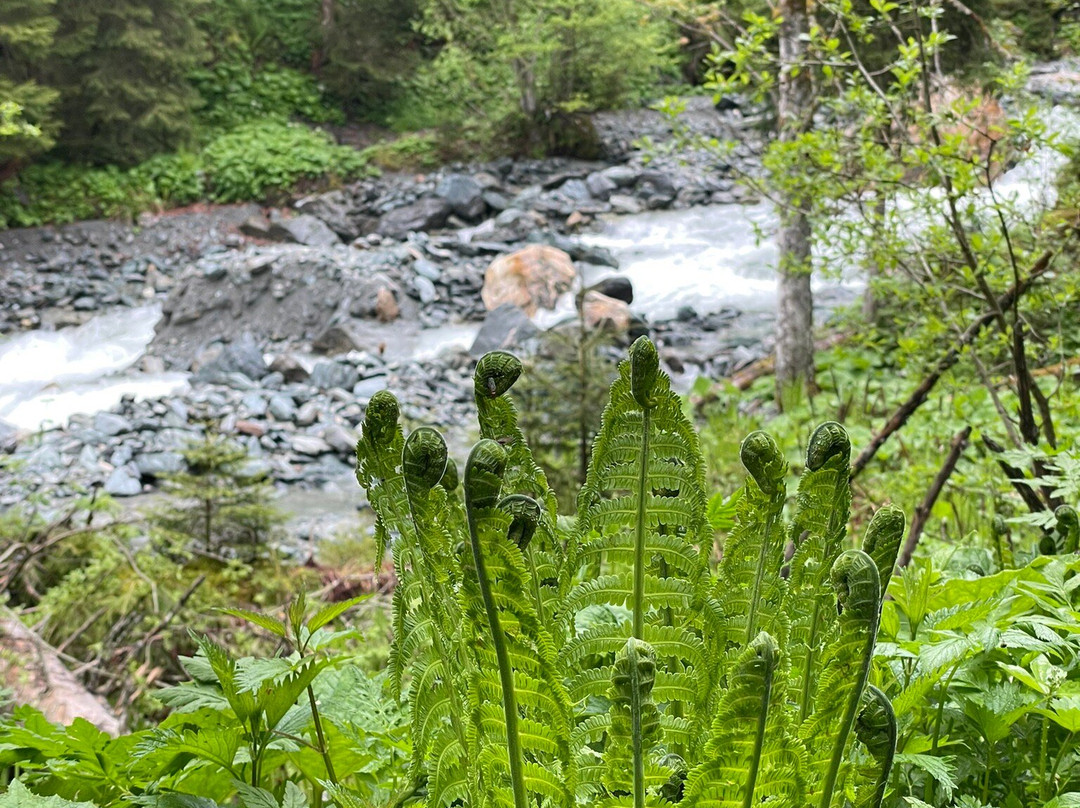 Sintersbacher Wasserfall景点图片