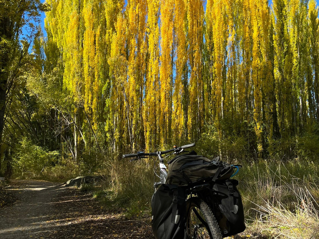 Roxburgh Gorge Trail-罗克斯堡必去景点