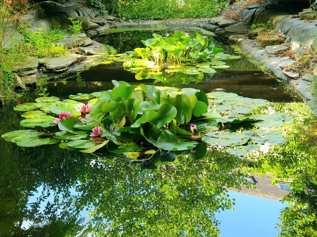 Moulin de Gaubourg主图