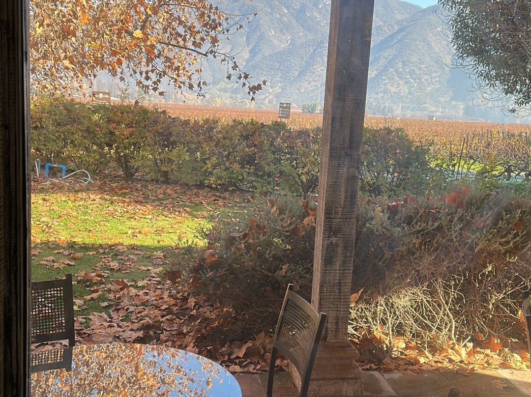 Viña Casa Silva-San Fernando必去景点