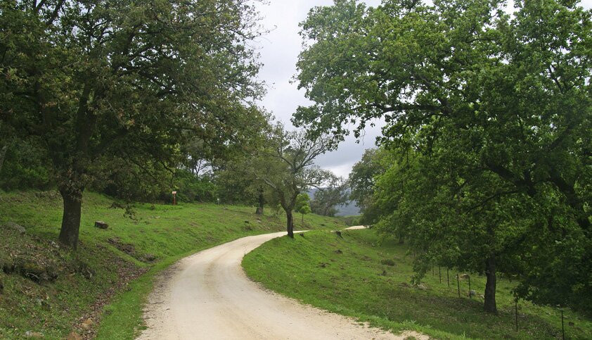 蒙特拉广场酒店主图