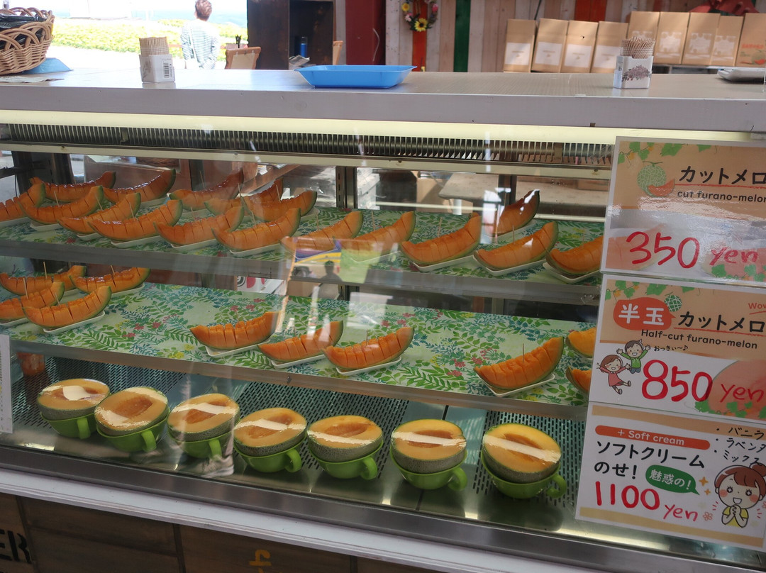 Flower Land Kamifurano-上富良野町必去景点