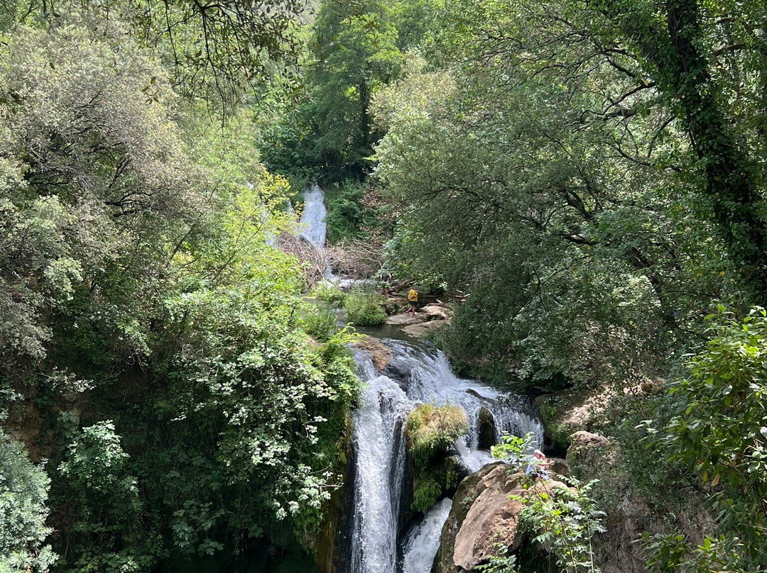 L'Eveil En Provence主图