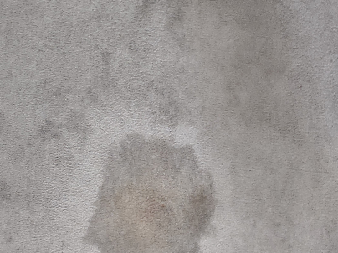 Quality Inn & Suites主图