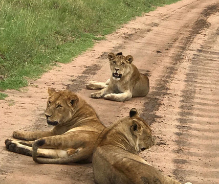 Utmost Travel & Tours-阿鲁沙必去景点