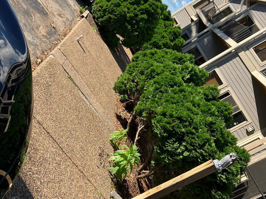 WorldMark Galena主图