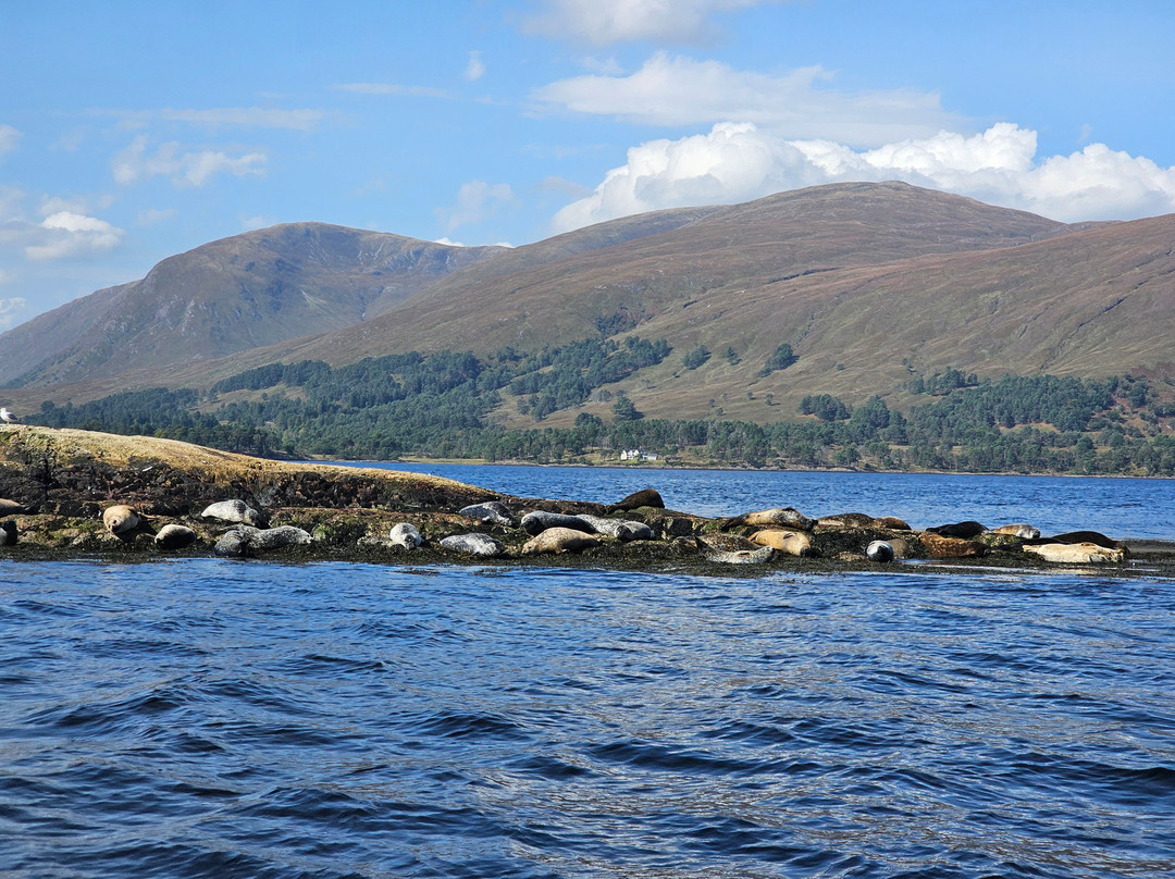 Fort William Sea Tours景点图片