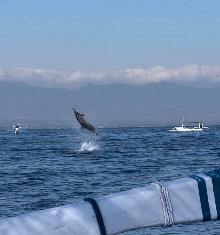 Lovina Dolphin Holiday景点图片