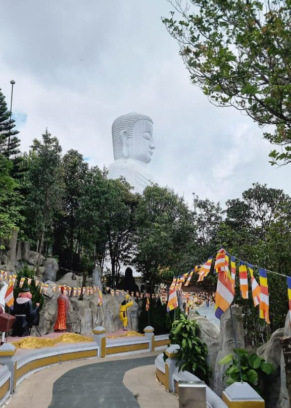 Top Driver-岘港必去景点