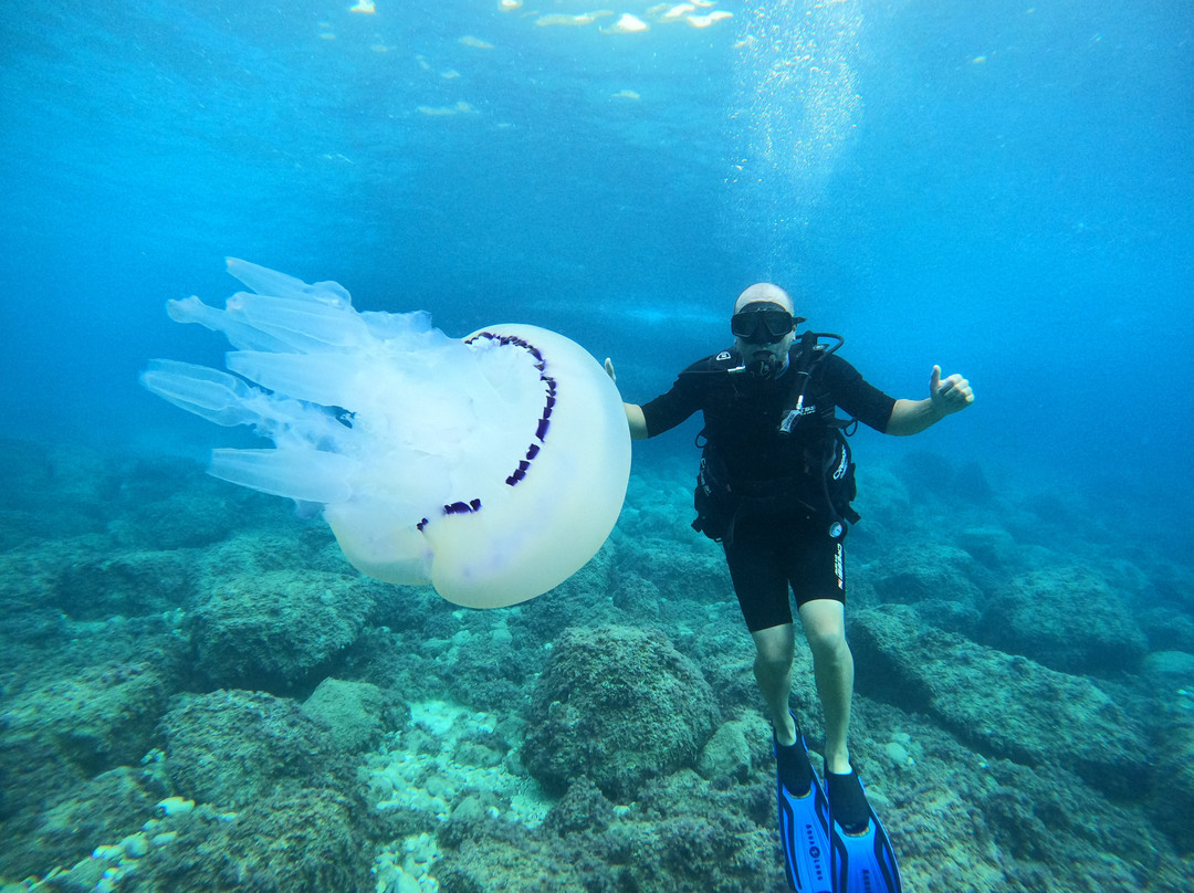 Buceo Les Basetes en Calpe-卡尔佩必去景点