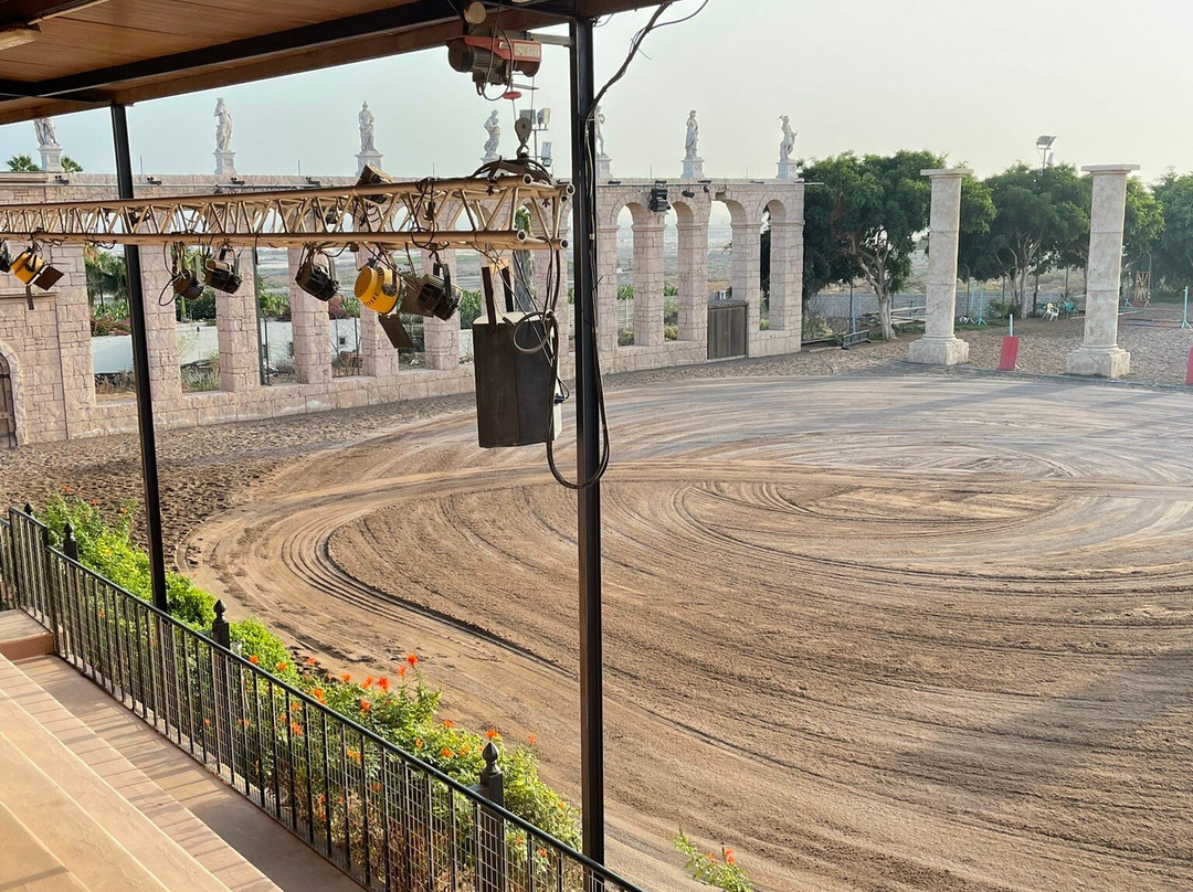 Gladiux-圣克鲁斯-德特内里费必去景点