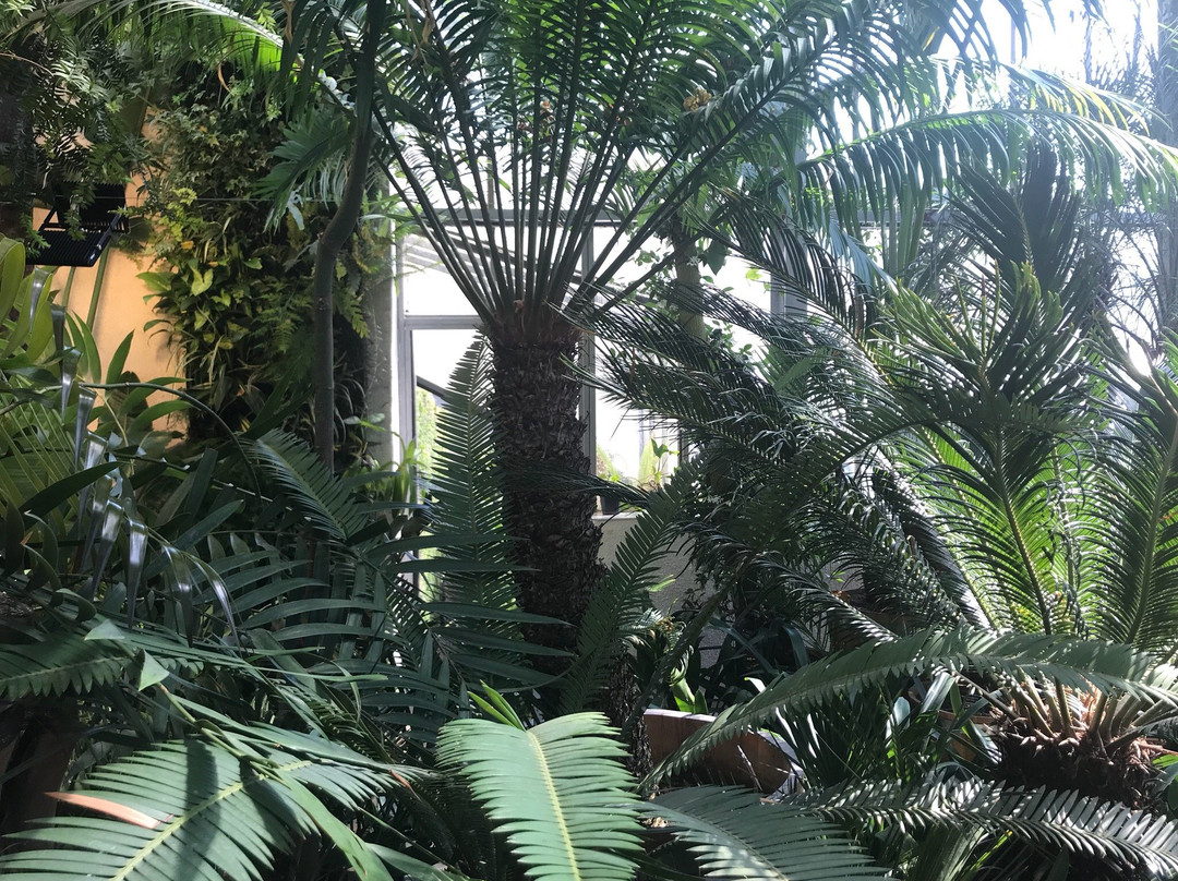 班基雅旅游景点-The Botanical Garden