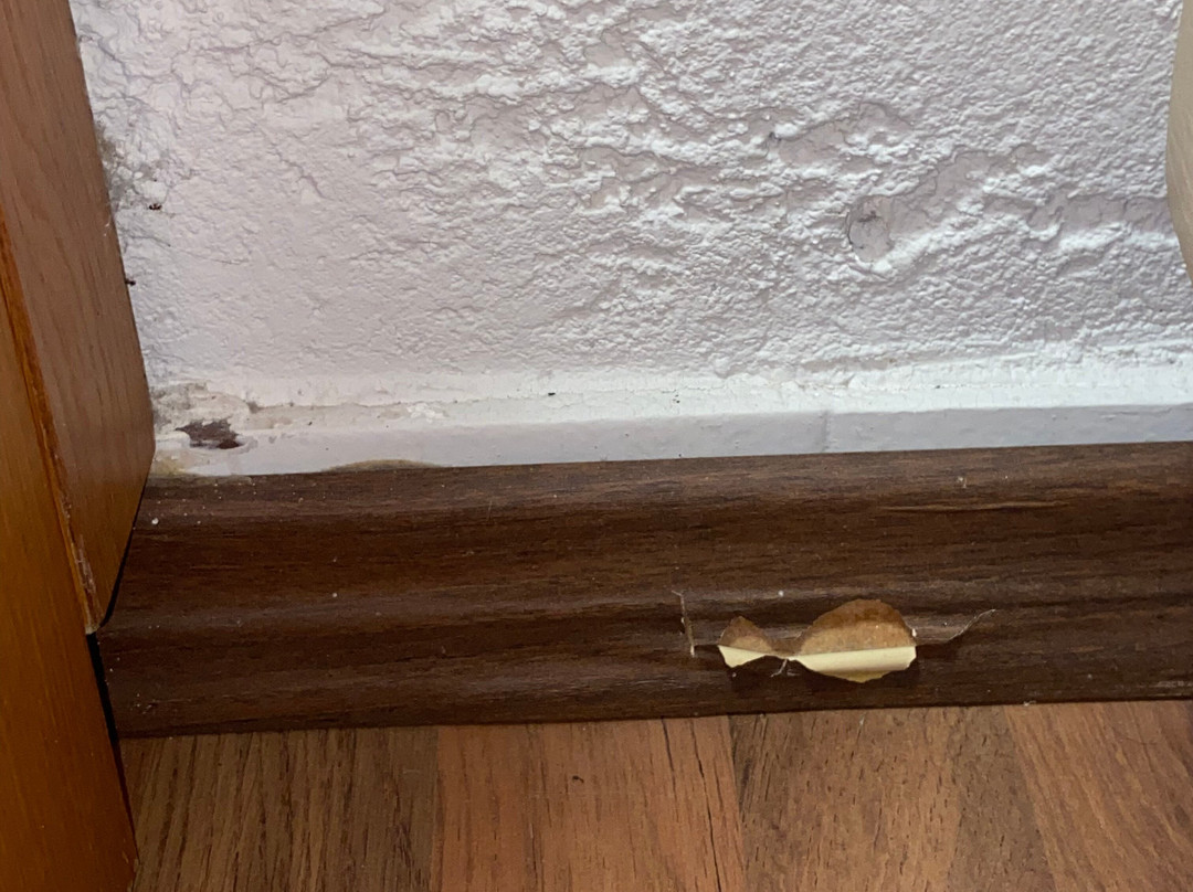 Poseidon Palace Hotel主图