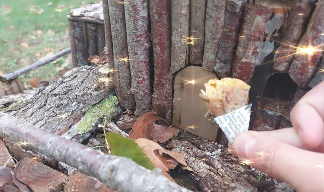 Bouille-Saint-Paul旅游景点-Jardin Enchanté Fairy Walk