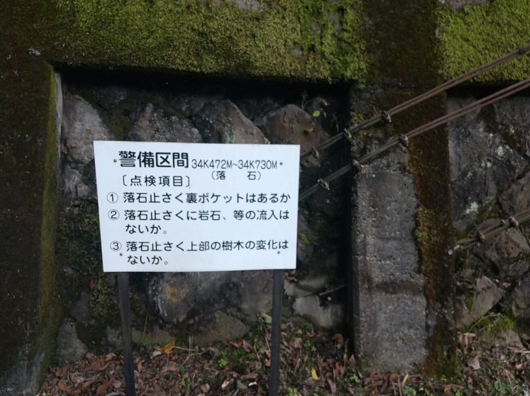 Agatsumakyo Rail Bike Agatta景点图片