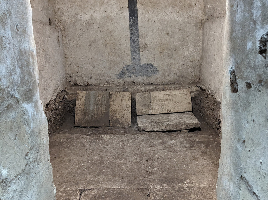 Sicily Guide Giovanni Arena - Day Tours-陶尔米纳必去景点