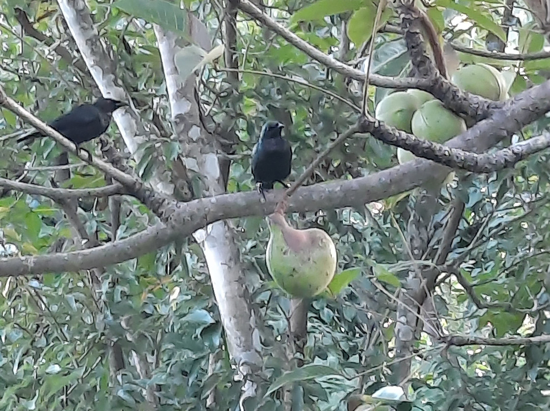 巴拉望俱乐部乐园度假村主图