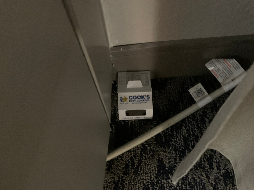 亚特兰大西20号洲际公路烛木套房酒店主图