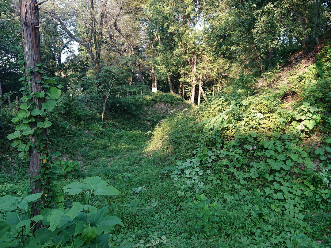 Takino Castle Ruins-所泽市必去景点