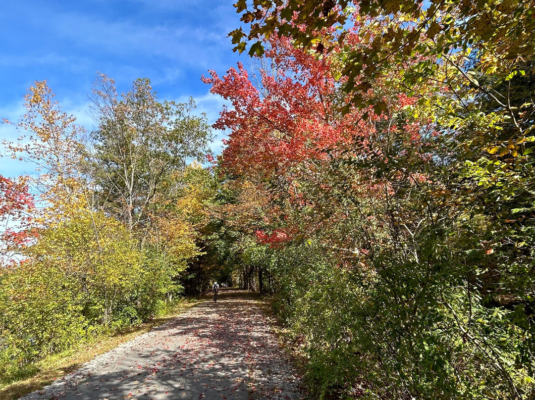 Granville House主图