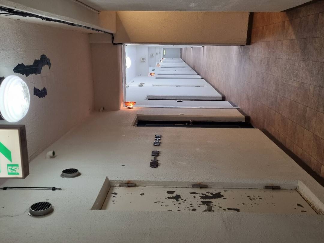 本部绿色公园酒店主图