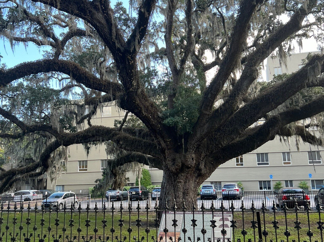 Old Town Trolley Savannah Tours-萨凡纳必去景点
