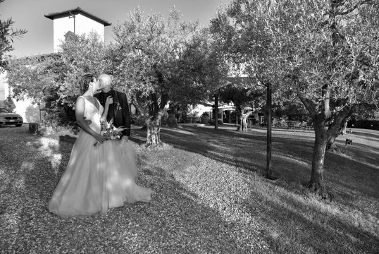 伊维蒂奇农庄民宿主图