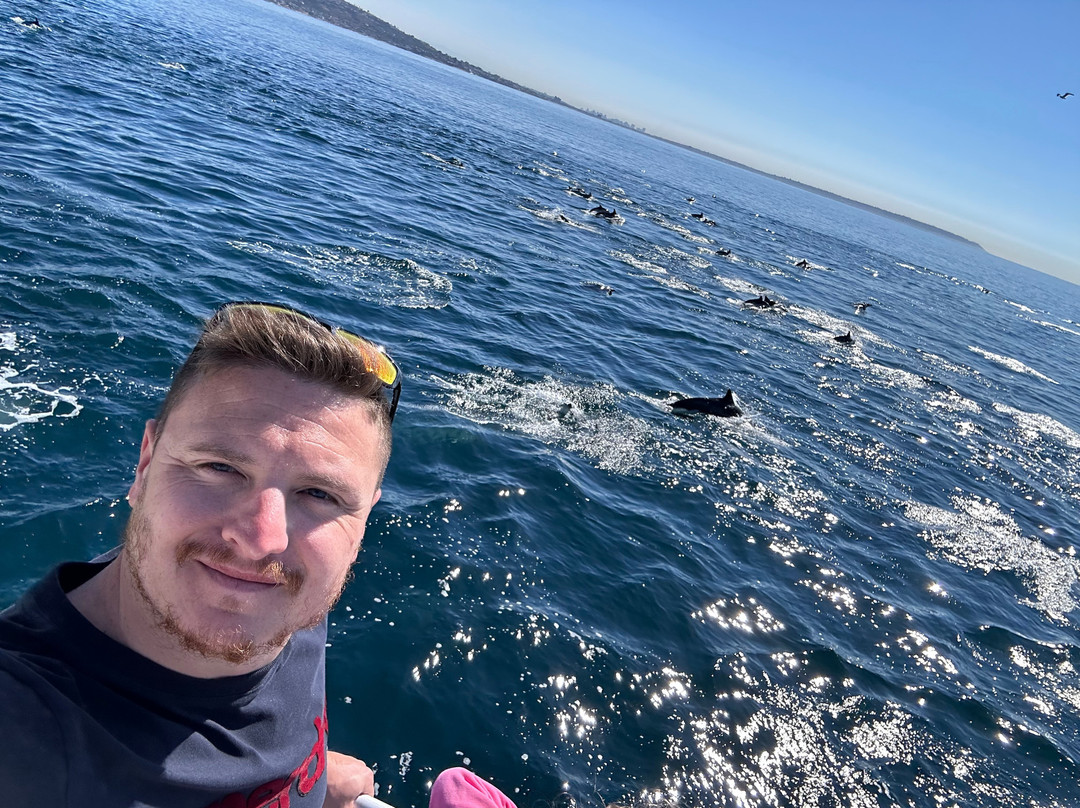 Legacy Whale Watch-圣地亚哥必去景点