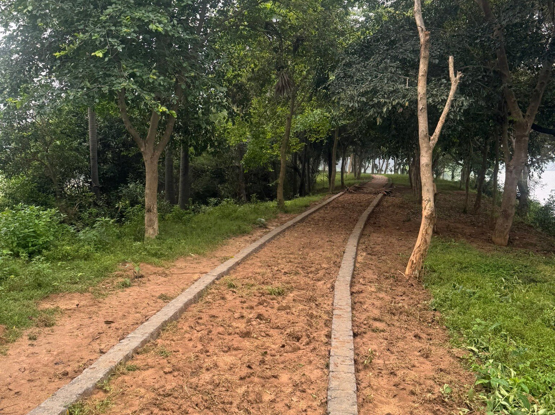 Vaduvoor Bird Sanctuary景点图片