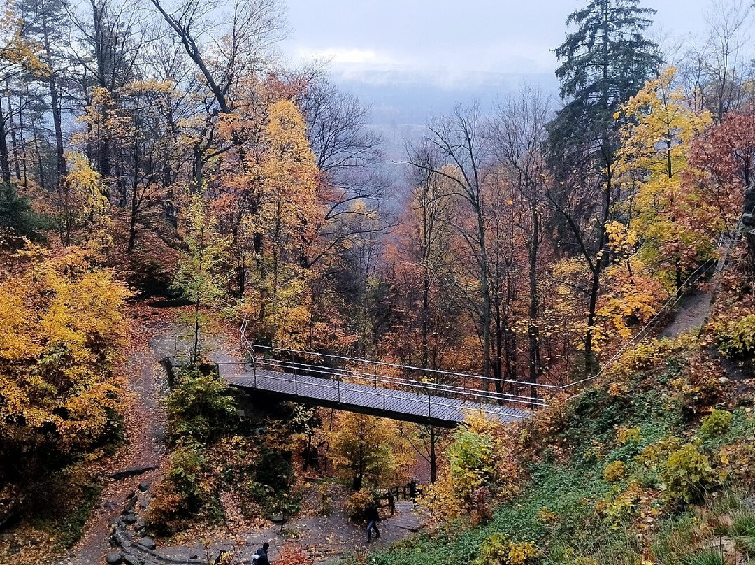 Uniline Tours-布拉格必去景点