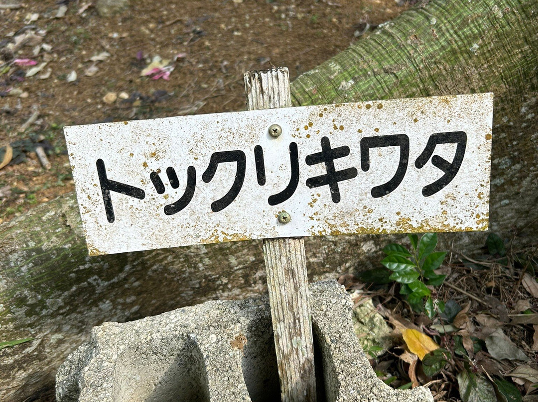Hirara Tropical Botanical Garden-宫古岛市必去景点