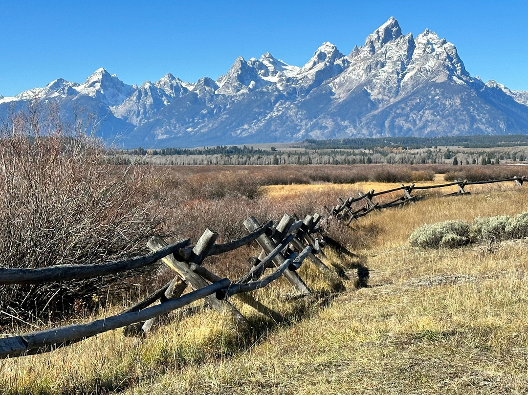 Wildflower Lodge at Jackson Hole主图