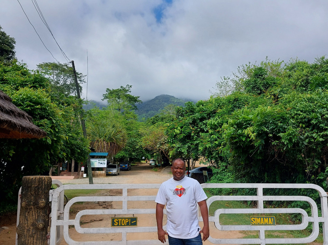 Udzungwa Mountains National Park-莫洛哥罗必去景点