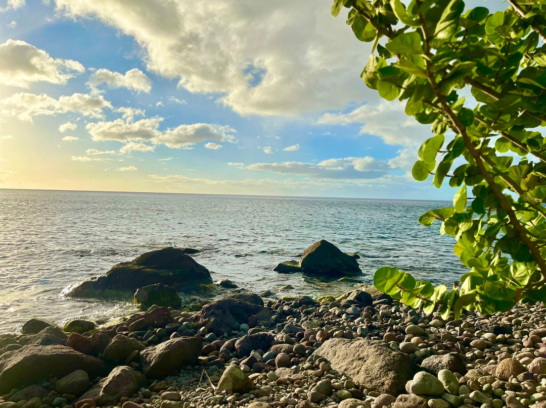 Donny's Snorkel Center-Pointe Michel必去景点