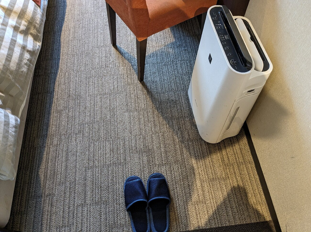 Kochi Hotel主图