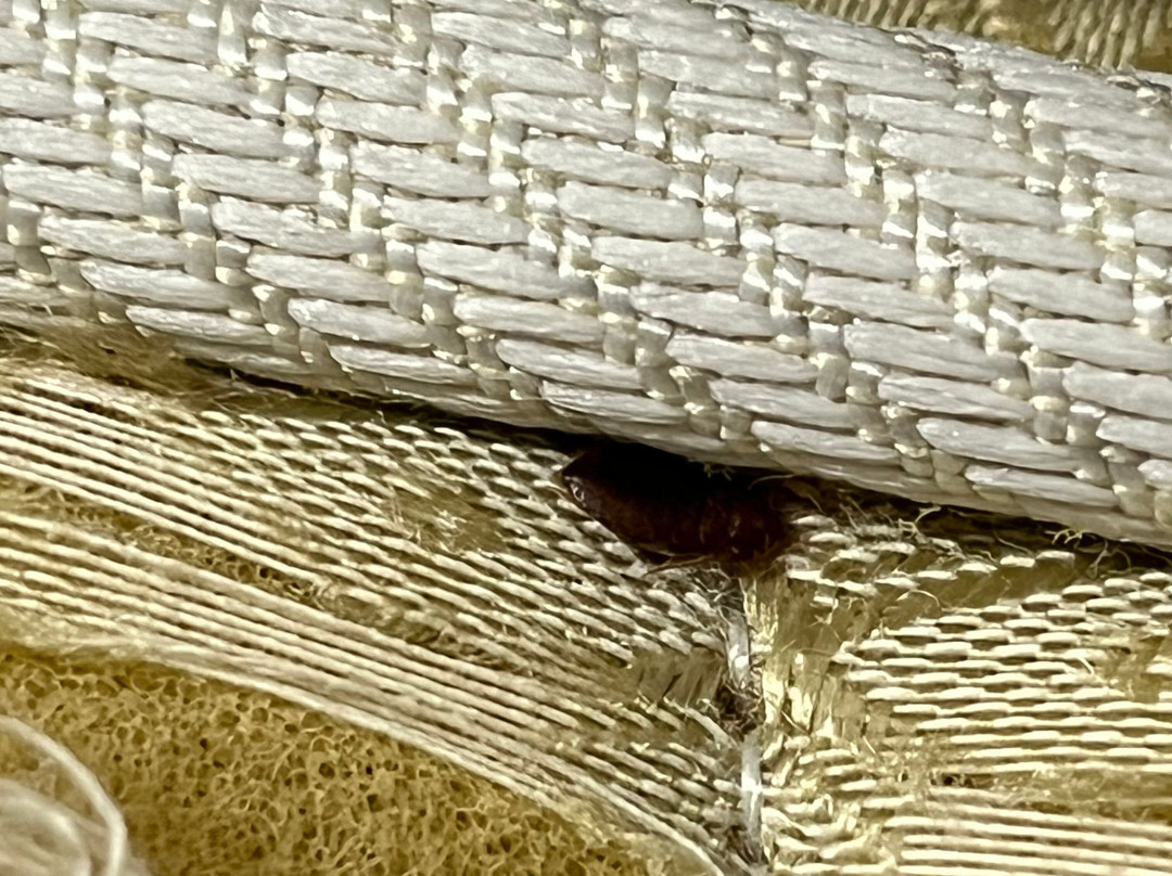 Ravena Cassino Hotel主图