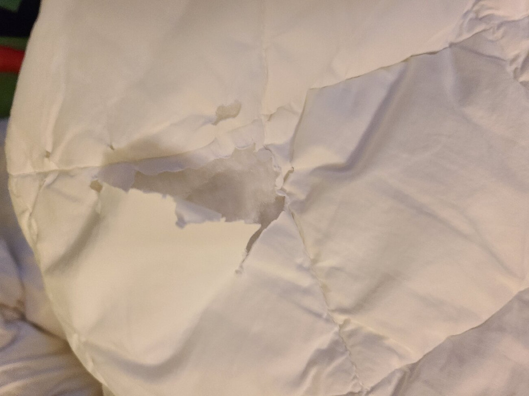 Apple Tree Inn, SureStay Collection by Best Western主图