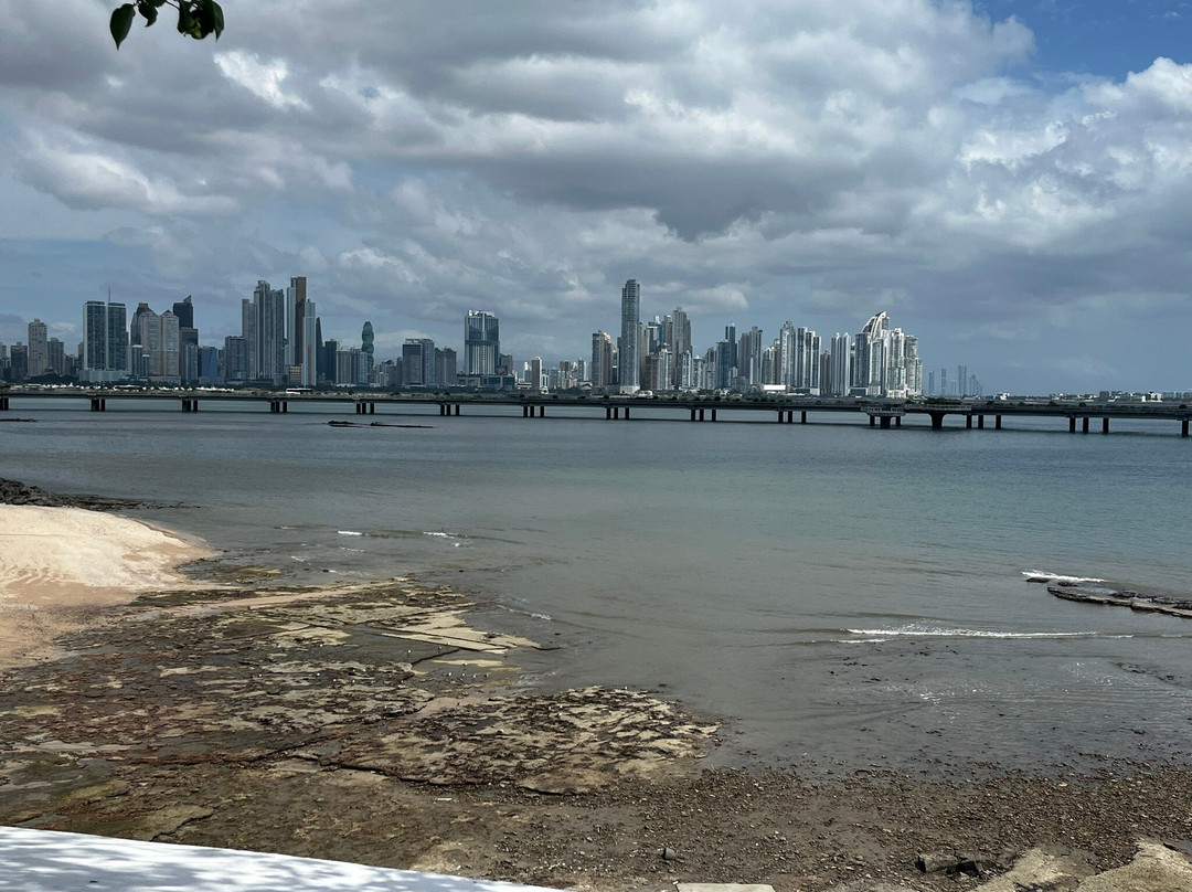 Vive Panama Tours景点图片