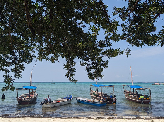 My Unique Zanzibar-石头城必去景点