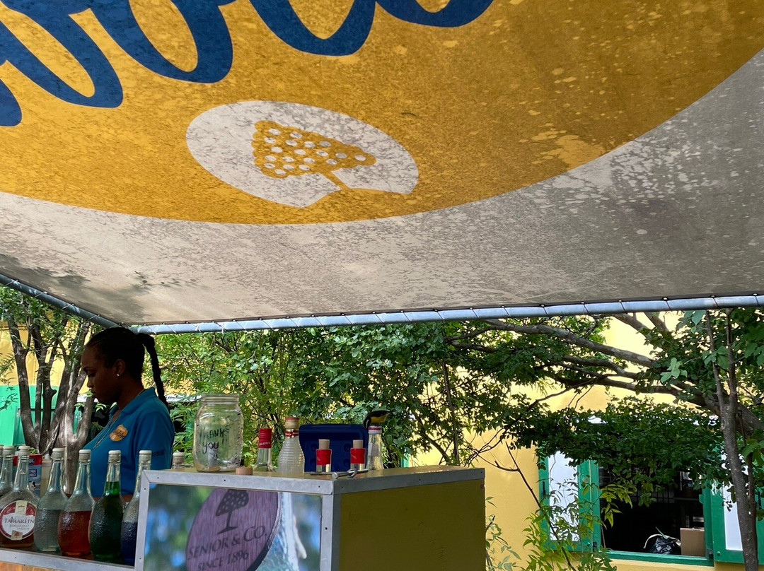 Landhuis Chobolobo-威廉斯塔德必去景点