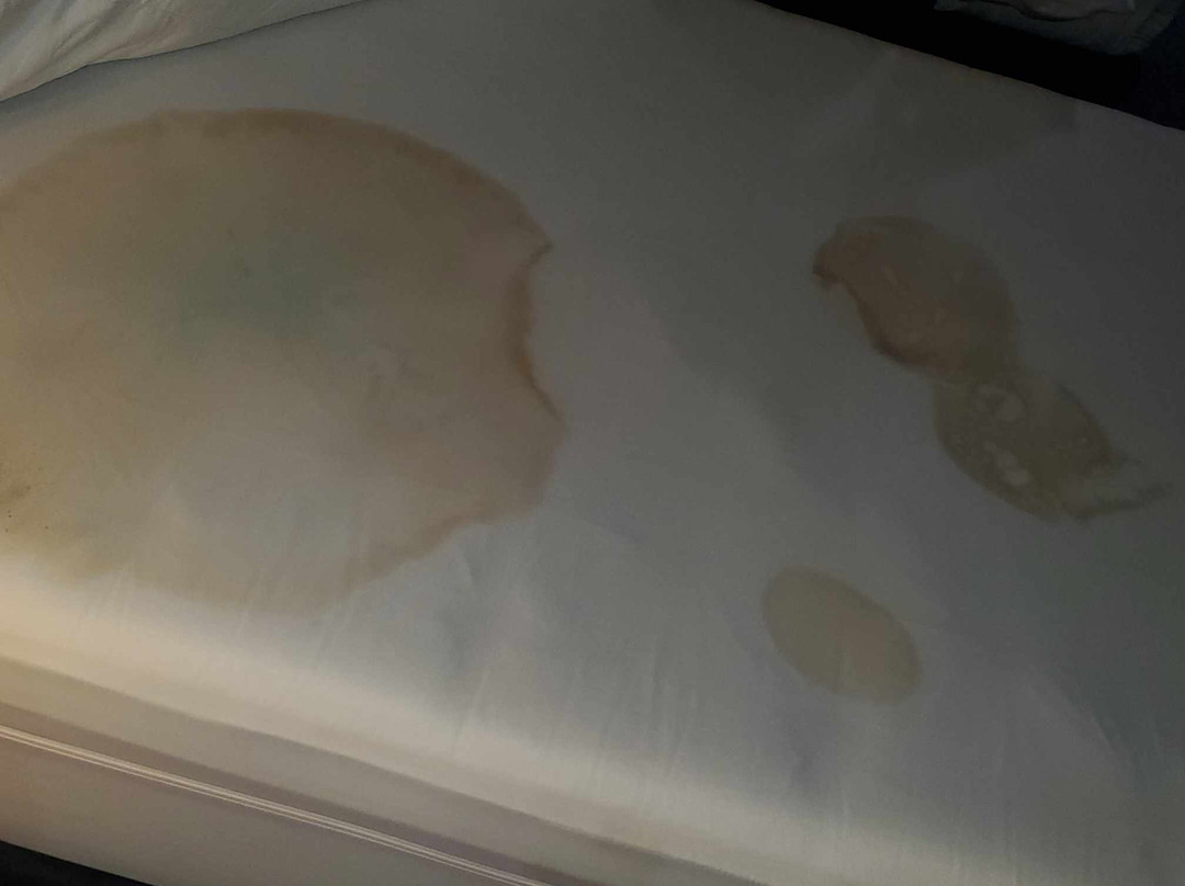 Days Inn & Suites by Wyndham Sulphur Springs主图