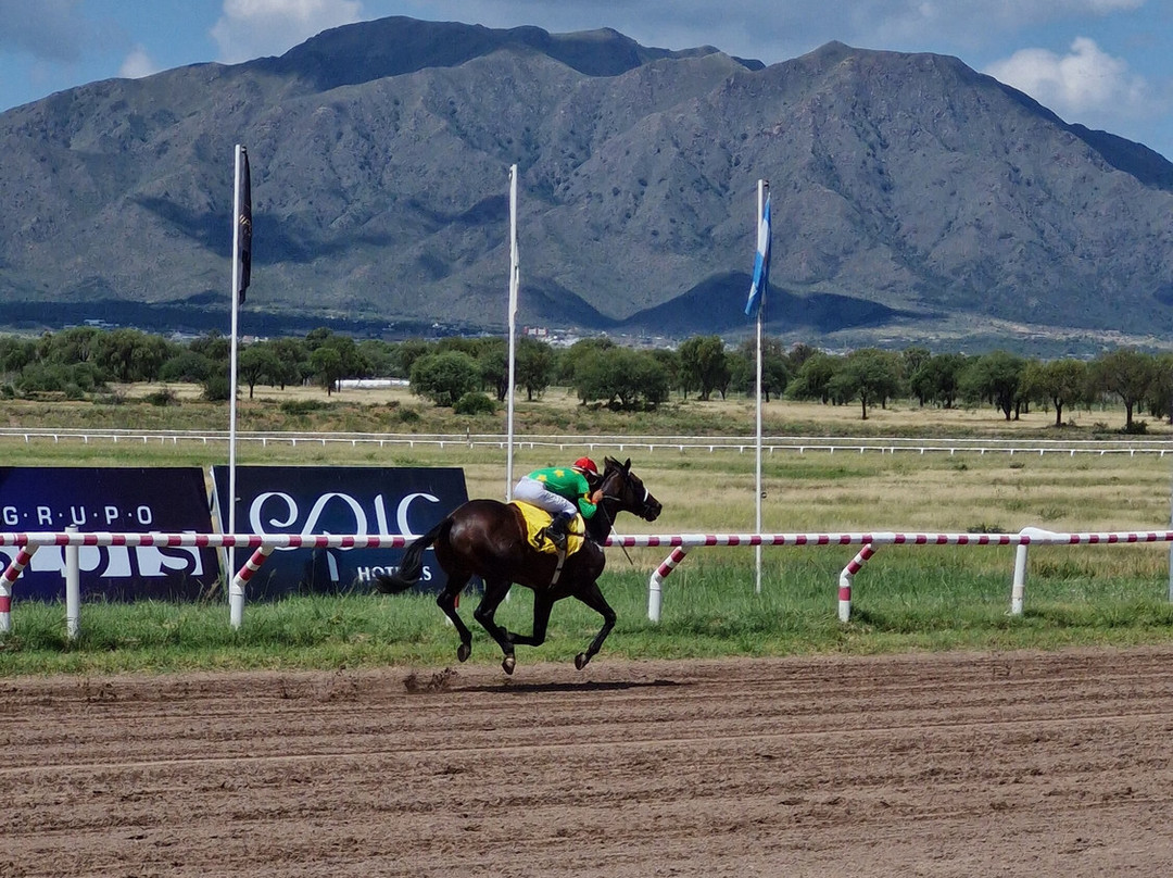 阿米瑞安圣卢宜公园酒店主图