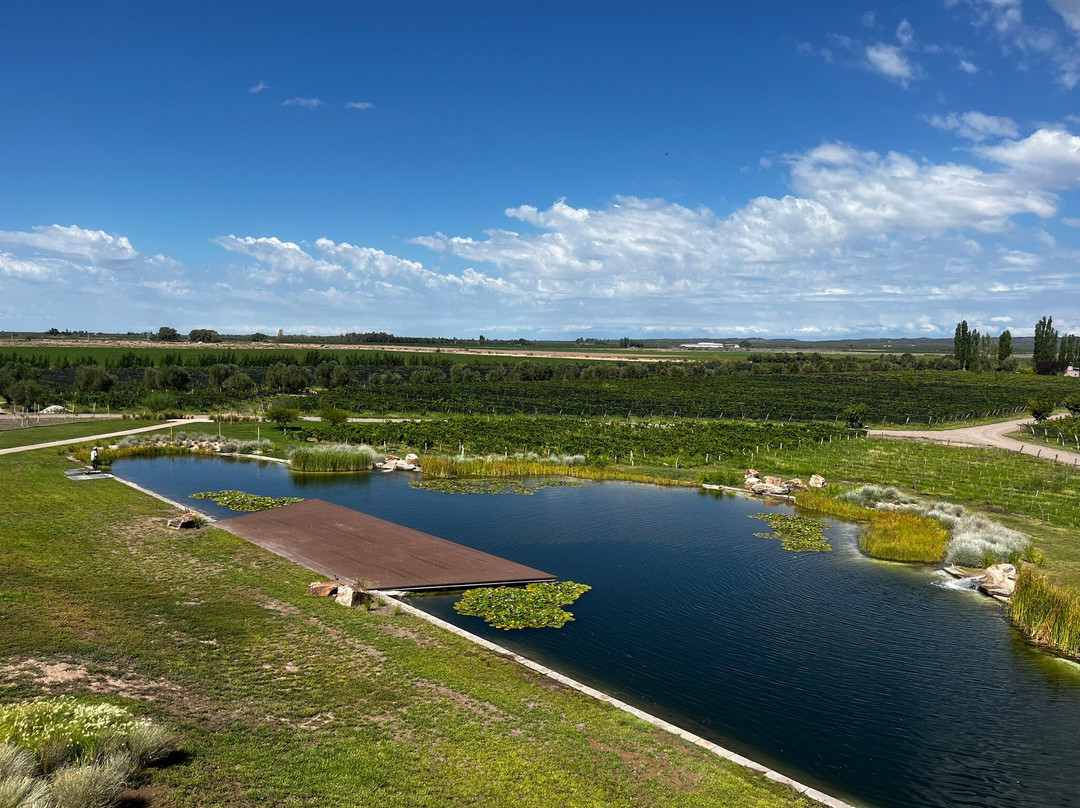 Bodega Alpamanta-路冉得库约必去景点