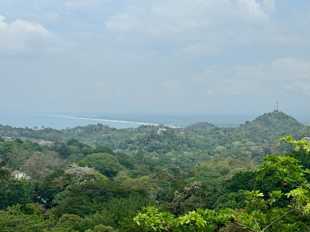 Mountain Top Park景点图片