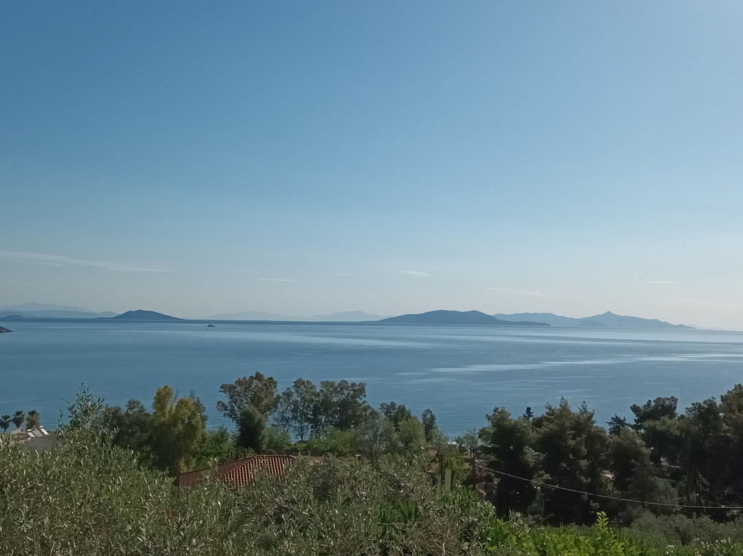 伊阿拉斯酒店主图