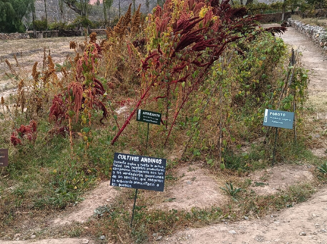 Jardin Botanico de Altura-蒂尔卡拉必去景点