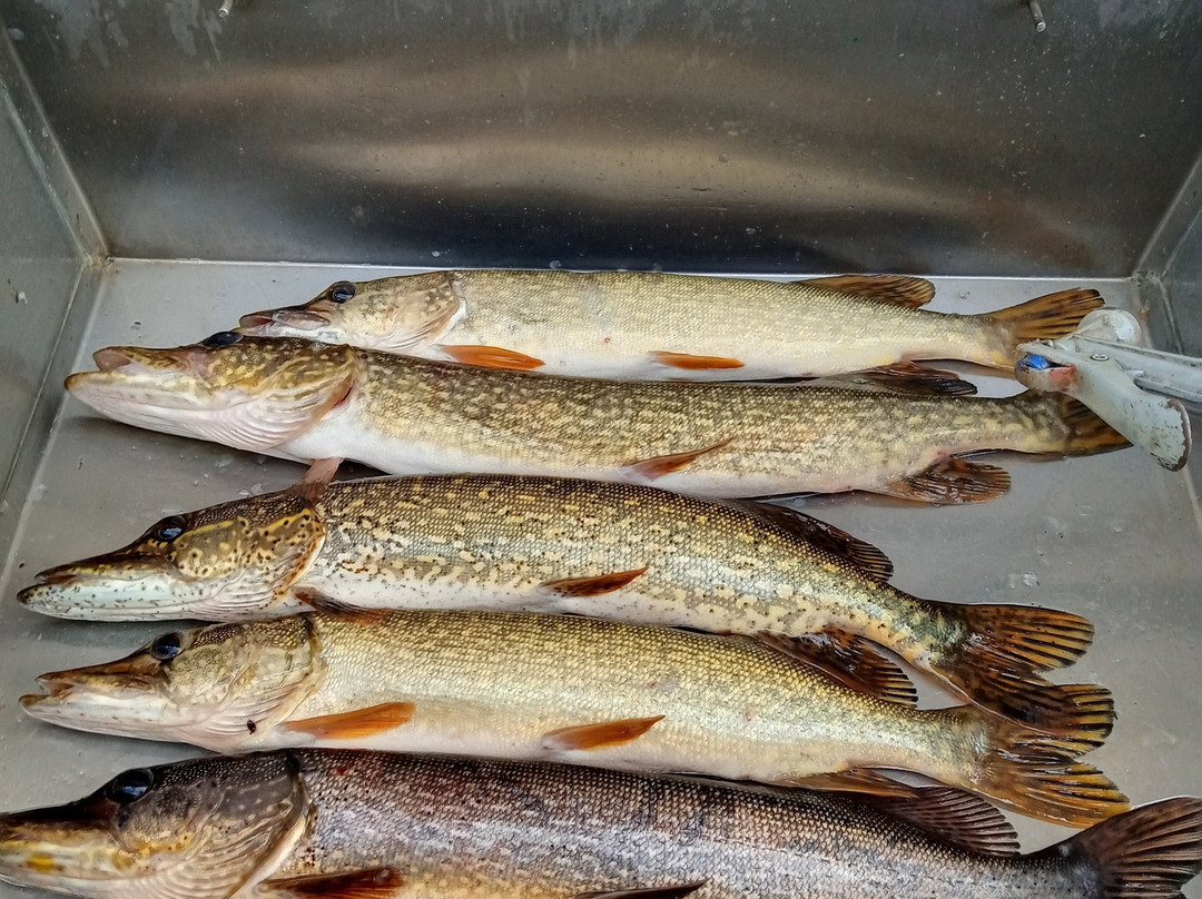 Remer Motel And Campground主图