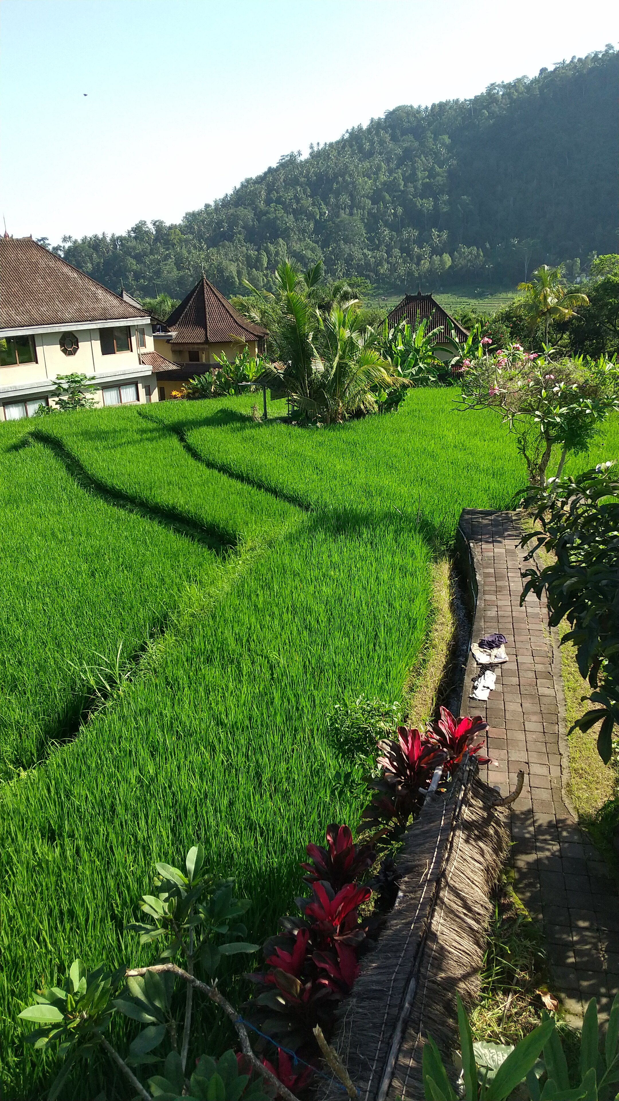 Embang Homestay-酒店景观